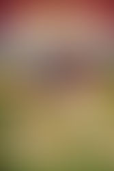 🐰🌸 Easter Egg Hunt 🌸🐰