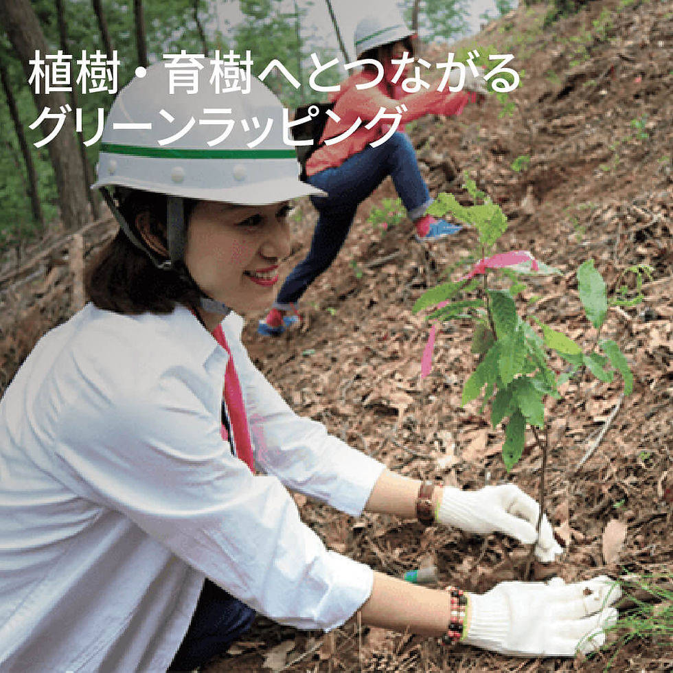 西武・そごうの「グリーンラッピング」