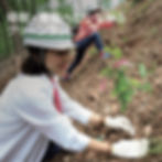 西武・そごうの「グリーンラッピング」