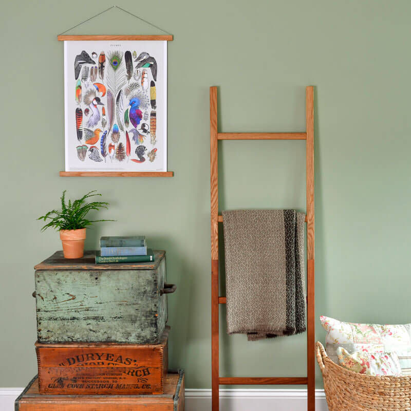 Thumbnail: Plumes Specimen Art Print 18x24