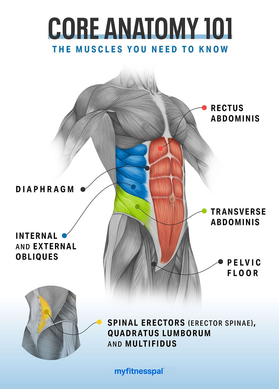 Strength Training For Core Complete Guide Strength Training For Core Complete Guide