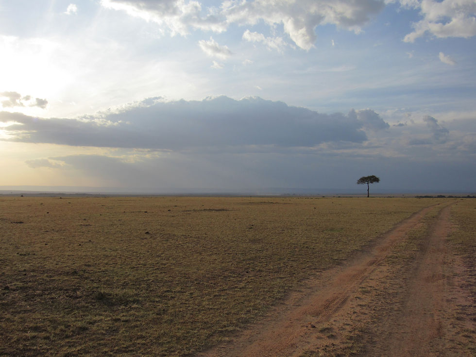 Endless savannah plains of Serengeti National Park, Tanzania