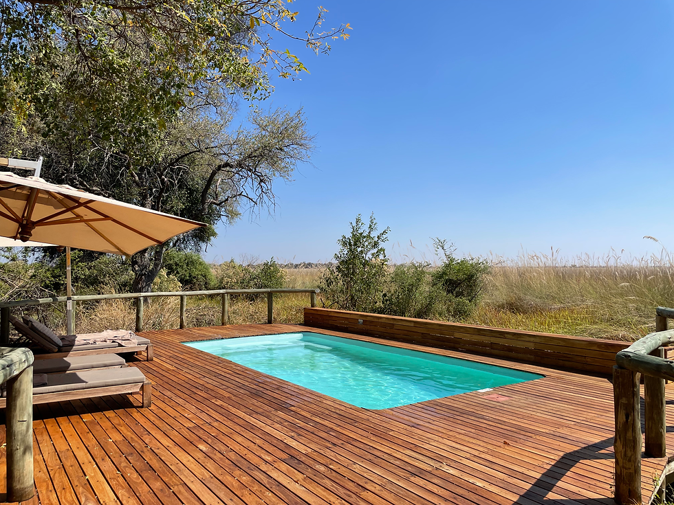 Infinity pool at Camp Moremi surrounded by reeds