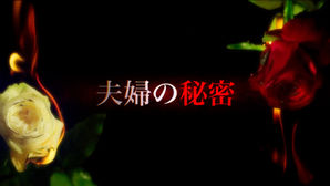 【1/4スタート】BS-TBS「夫婦の秘密」に出演します