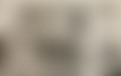 【本日発売】日刊スポーツ関東版に掲載頂いています