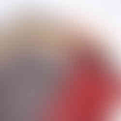 Laptop Sleeve Organizer, Personalized laptop sleeve, laptop sleeve, business meeting organizer, business sleeve, laptop cover