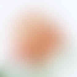 document holder, personalised organiser, personalized organizer, leather document folder, business folder, portfolio holder