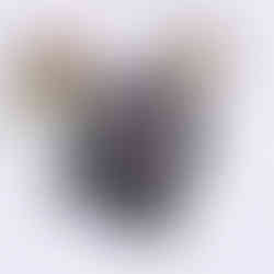 Personalized organiser, business portfolio, portfolio organiser, utility pouch, PERSONALIZED UTILITY POUCH, briefcase pouch