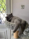 Tilly