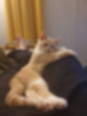 George