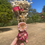 Thumbnail: Herbal Floral Bundles - Large 💐