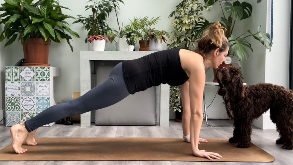 KONZISTENCE MÍSTO MOTIVACE | Katka Rosabelle Crinion