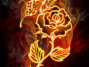 Rosa de fuego