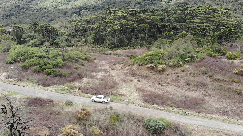 DJI_0376.mov