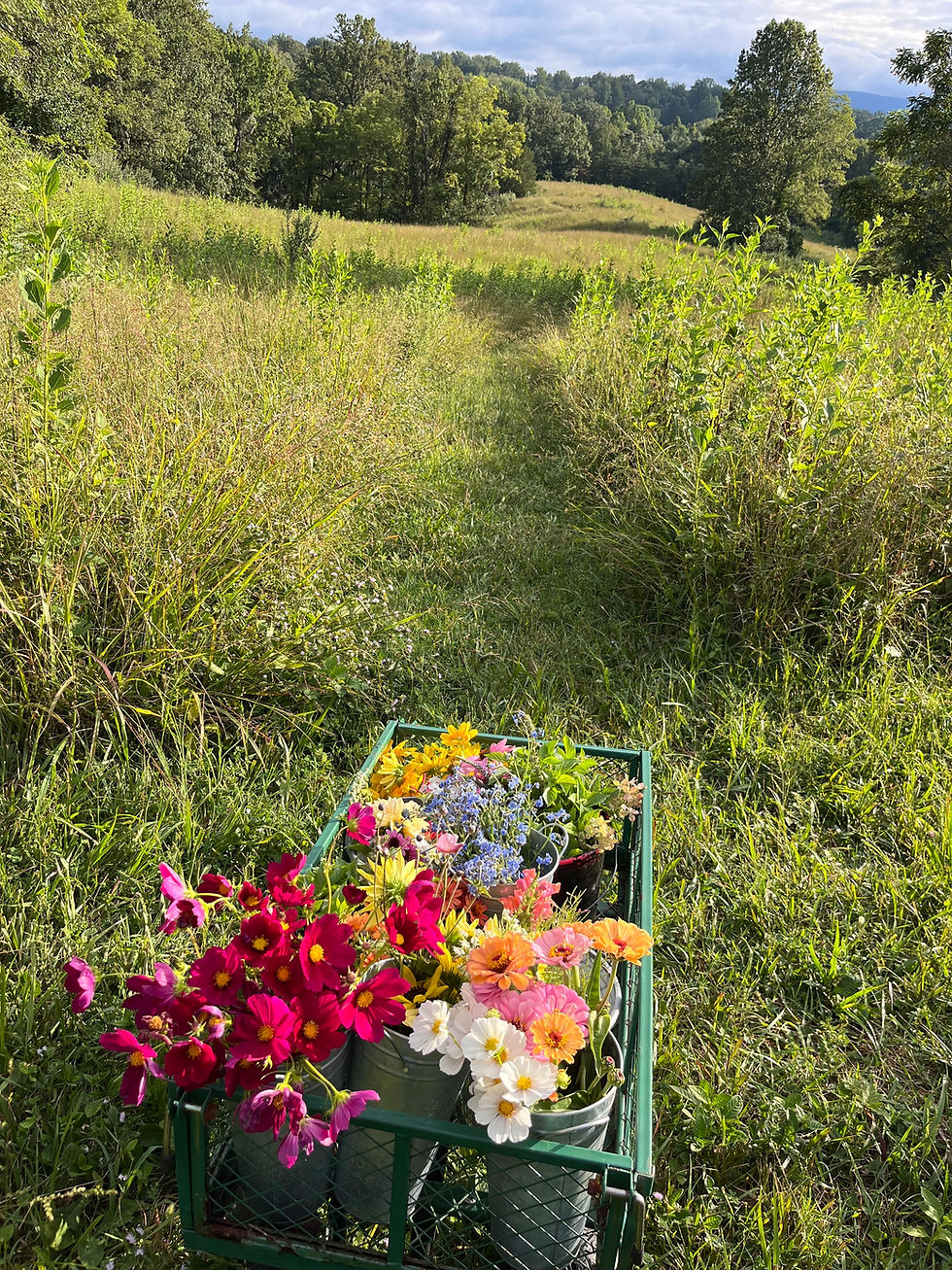gardenCart.jpeg