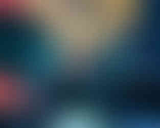 Ginger Root | by Blake Stolarik for Zany Waves