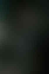 Yungblud | by Reagan Austin for Zany Waves