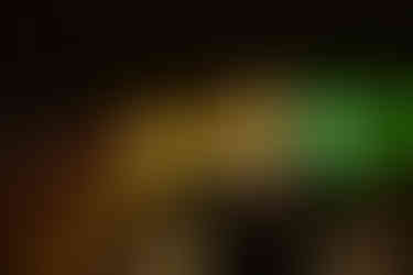 Tessellated | by Michelle Zigler for Zany Waves