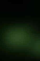 She's Green | by Michelle Zigler for Zany Waves