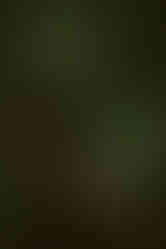 She's Green | by Michelle Zigler for Zany Waves