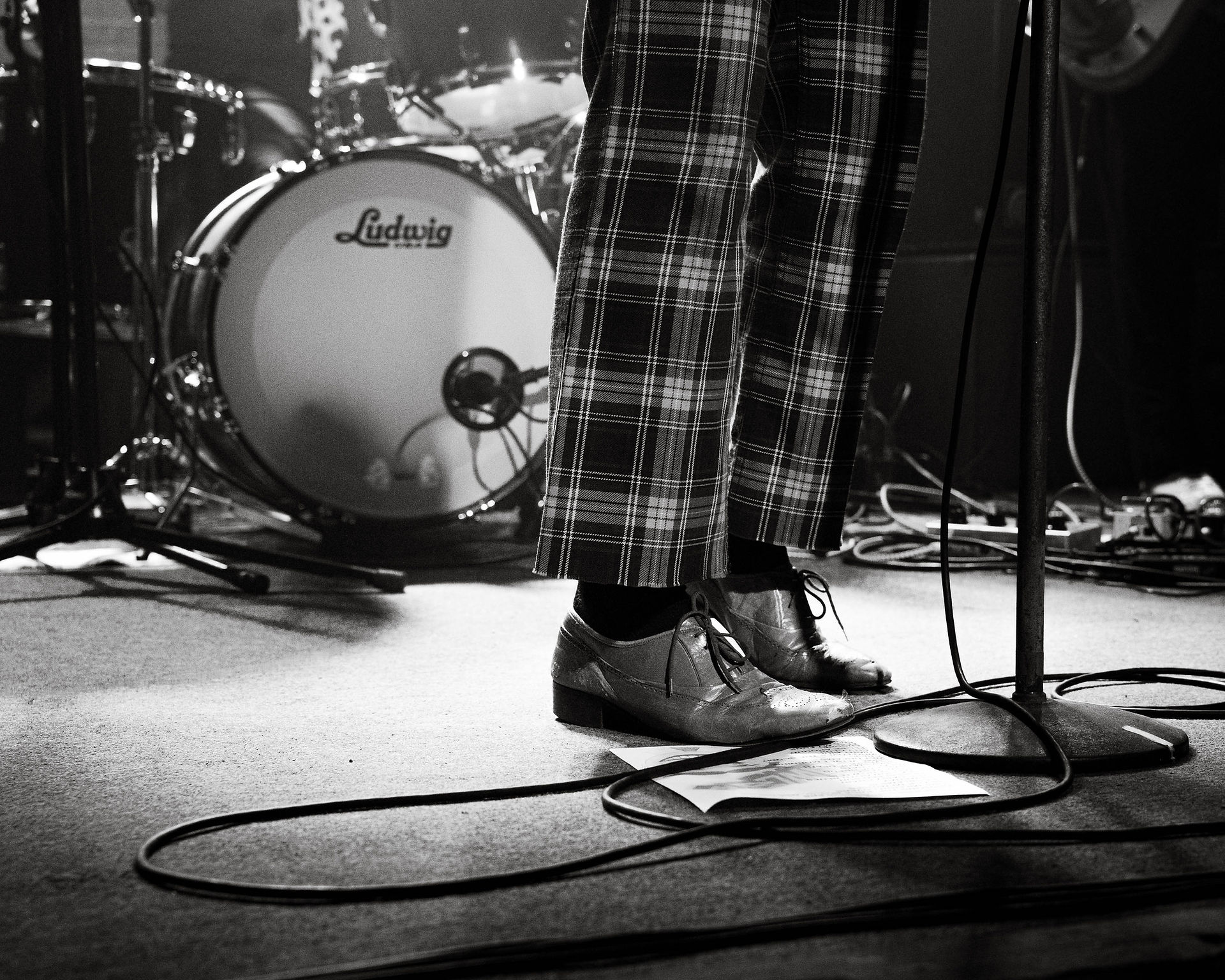 The Growlers | by Sarah Silbert for Zany Waves