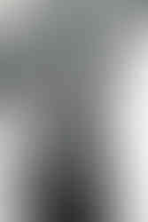 The Brook & The Bluff | by Erin Carley for Zany Waves