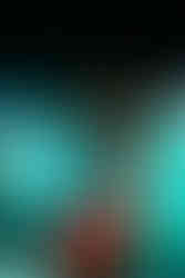 mercury | by Emma Zoe Polyak for Zany Waves