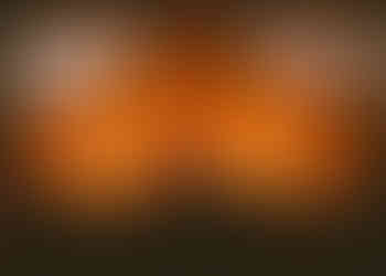 Magnolia Park | by Michelle Zigler for Zany Waves