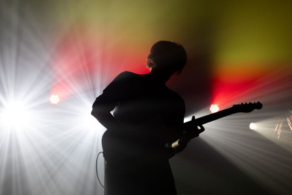 Dogpark | by Sarah Bruno for Zany Waves