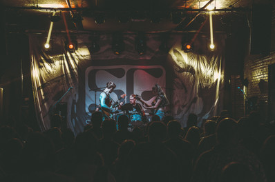 Tessellated | by Michelle Zigler for Zany Waves