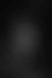 Rainbow Kitten Surprise | by Sarah Silbert for Zany Waves