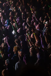 The Maine | by Reagan Austin for Zany Waves
