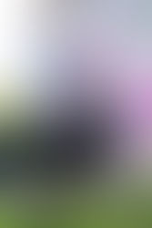 @ | by Emma Zoe Polyak for Zany Waves