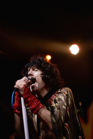 Foxy Shazam | by Amanda Mack for Zany Waves