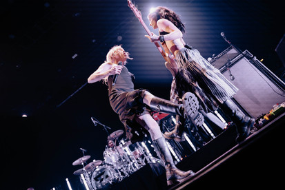 Rainbow Kitten Surprise | by Sarah Silbert for Zany Waves