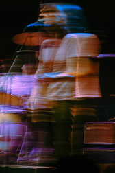The Lemon Twigs | by Samantha Blyn for Zany Waves