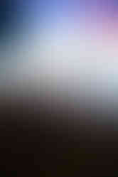 The Brook & The Bluff | by Erin Carley for Zany Waves