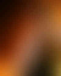 Ginger Root | by Blake Stolarik for Zany Waves