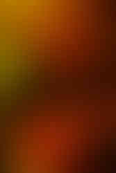 The Runarounds | by Isabelle Vargas for Zany Waves