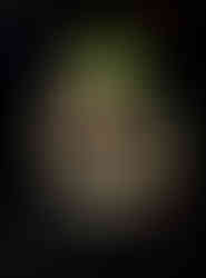 Pollyanna | by Alder Boutin for Zany Waves