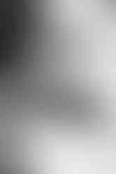 The Brook & The Bluff | by Erin Carley for Zany Waves