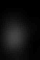 The Maine | by Reagan Austin for Zany Waves