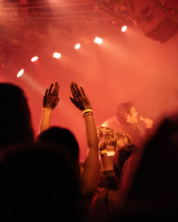 The Growlers | by Sarah Silbert for Zany Waves