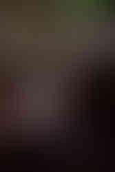 Big Handsome | by Emma Zoe Polyak for Zany Waves