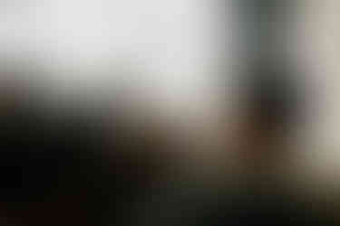 Nolan Taylor | by Sarah Silbert for Zany Waves