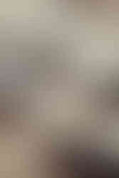 Boy Golden | by Sarah Silbert for Zany Waves