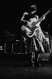 Rainbow Kitten Surprise | by Sarah Silbert for Zany Waves