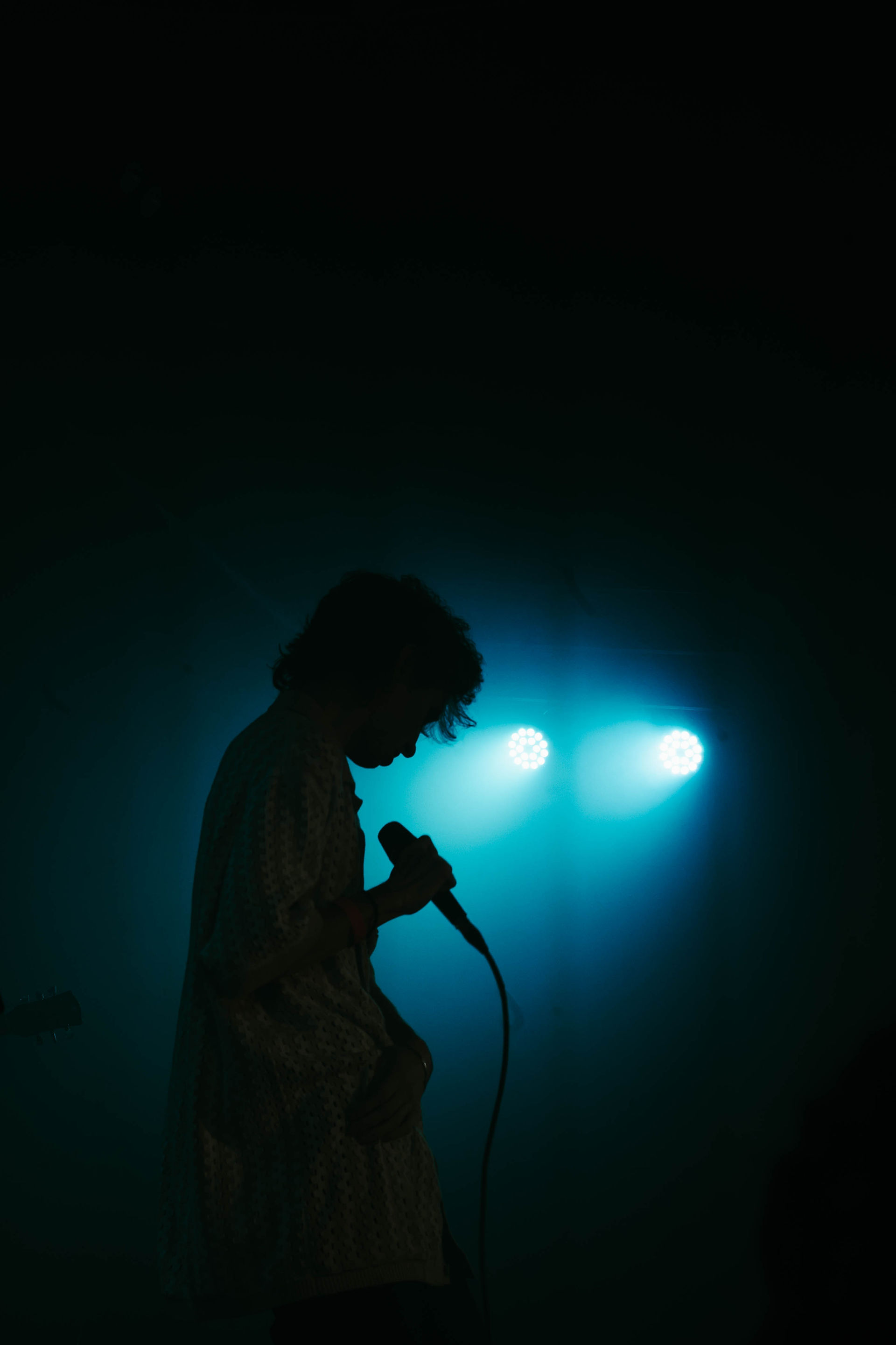 Dogpark | by Sarah Silbert for Zany Waves