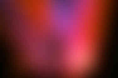 Magnolia Park | by Michelle Zigler for Zany Waves