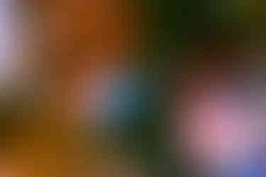 Photo by Samantha Blyn for Zany Waves